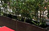 Туры в отель Gray Boutique Hotel Casablanca
