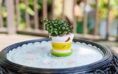 Туры в отель Diamond Park Inn Chiang Rai Resort
