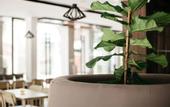 Туры в отель Diamond Park Inn Chiang Rai Resort