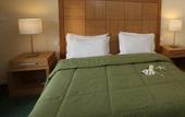 Туры в отель Golden Star City Resort
