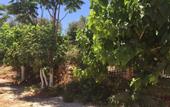 Туры в отель Olympos Mocamp Kas
