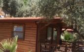 Туры в отель Olympos Mocamp Kas