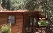 Туры в отель Olympos Mocamp Kas