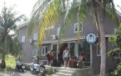 Туры в отель Monkey Samui Hostel