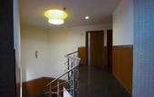 Туры в отель Hotel Delhi 37