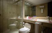 Туры в отель Best Western Plus 93 Park Hotel