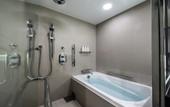 Туры в отель The Royal Park Hotel Kyoto Sanjo
