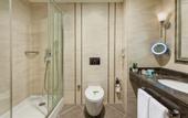 Туры в отель Elite World Van