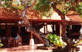 Туры в отель Harry's Bungalows & Restaurant