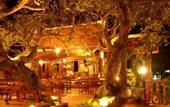 Туры в отель Harry's Bungalows & Restaurant