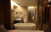 Туры в отель Grand Skylight International Hotel Guanlan