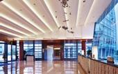 Туры в отель Grand Skylight International Hotel Guanlan