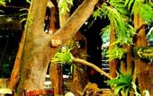 Туры в отель Tamnanpar Resort