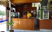 Туры в отель OYO Hotel Palma Real