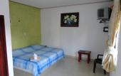 Туры в отель OYO Hotel Palma Real