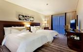 Туры в отель Hilton Garden Inn Mardin