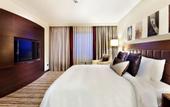 Туры в отель Hilton Garden Inn Mardin
