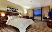 Туры в отель Hilton Garden Inn Mardin