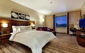 Туры в отель Hilton Garden Inn Mardin