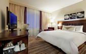 Туры в отель Hilton Garden Inn Mardin