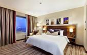 Туры в отель Hilton Garden Inn Mardin