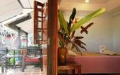 Туры в отель Sunrise Bungalow