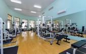 Туры в отель Golden Tulip Al Jazira Hotel & Resort