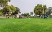 Туры в отель Golden Tulip Al Jazira Hotel & Resort