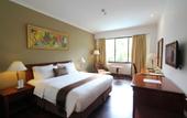 Туры в отель Hotel Salak The Heritage