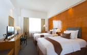 Туры в отель Hotel Salak The Heritage