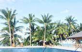 Туры в отель Shangrilah Bungalow