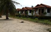 Туры в отель Shangrilah Bungalow