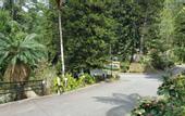 Туры в отель Wyndham Garden Shahzan Fraser's Hill
