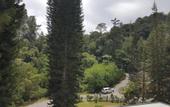 Туры в отель Wyndham Garden Shahzan Fraser's Hill