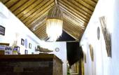 Туры в отель The Trawangan Resort