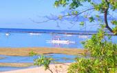 Туры в отель The Trawangan Resort