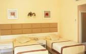 Туры в отель Grand Mir Amor Hotel