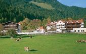 Туры в отель Alpenschlossl