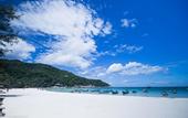Туры в отель Paradise Bungalows