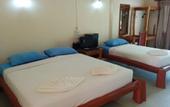 Туры в отель Paradise Bungalows