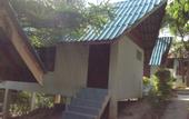 Туры в отель Paradise Bungalows