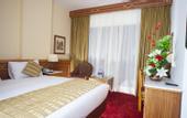 Туры в отель Golden Tulip Flamenco