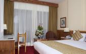 Туры в отель Golden Tulip Flamenco