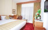 Туры в отель Golden Tulip Flamenco