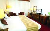 Туры в отель Golden Tulip Flamenco