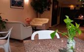 Туры в отель Paradise Inn