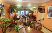 Туры в отель Paradise Inn