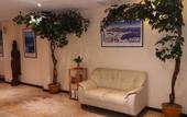 Туры в отель Paradise Inn