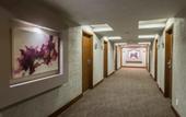 Туры в отель Plaza Diana Hotel
