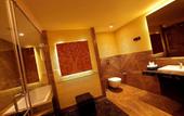 Туры в отель Flora Airport Hotel and Convention Centre Kochi